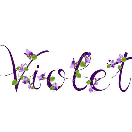 Appartamento Violet - Parma Luaran gambar